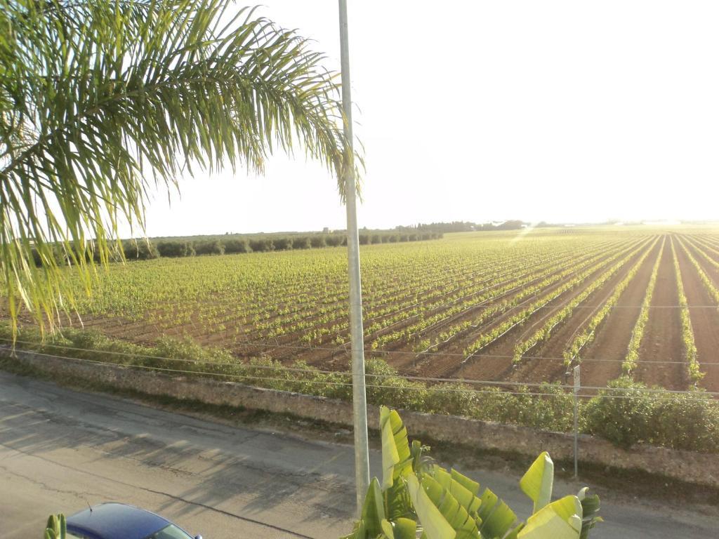 Eco Green La Vigna Leverano Oda fotoğraf